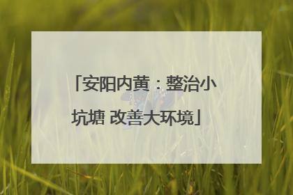 安阳内黄：整治小坑塘 改善大环境