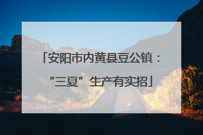 安阳市内黄县豆公镇：“三夏”生产有实招