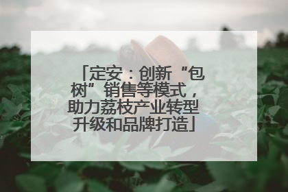定安：创新“包树”销售等模式，助力荔枝产业转型升级和品牌打造