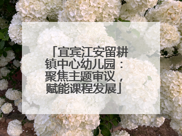 宜宾江安留耕镇中心幼儿园：聚焦主题审议，赋能课程发展