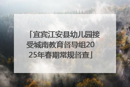 宜宾江安县幼儿园接受城南教育督导组2025年春期常规督查
