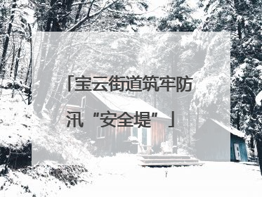 宝云街道筑牢防汛“安全堤”