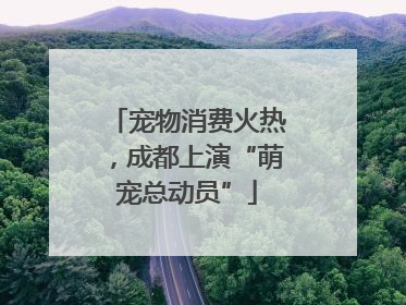 宠物消费火热，成都上演“萌宠总动员”