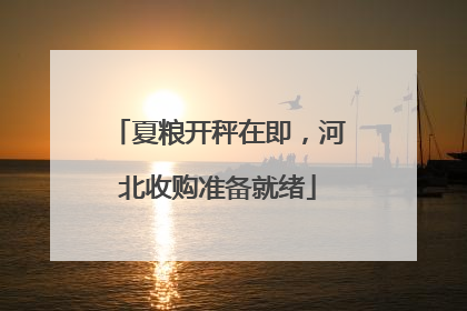 夏粮开秤在即，河北收购准备就绪