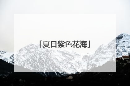 夏日紫色花海