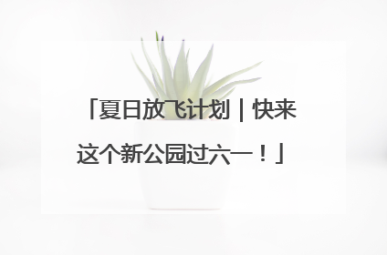 夏日放飞计划｜快来这个新公园过六一！