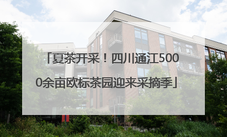 夏茶开采！四川通江5000余亩欧标茶园迎来采摘季