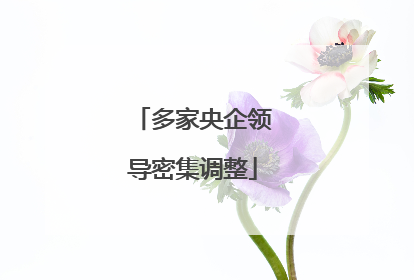 多家央企领导密集调整