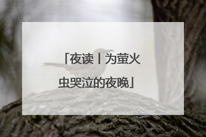 夜读丨为萤火虫哭泣的夜晚