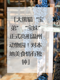 大熊猫“宝弟”“宝妹”正式亮相温州动物园！对本地美食情有独钟