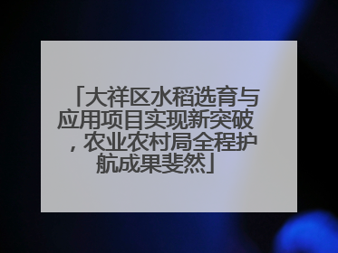 大祥区水稻选育与应用项目实现新突破，农业农村局全程护航成果斐然