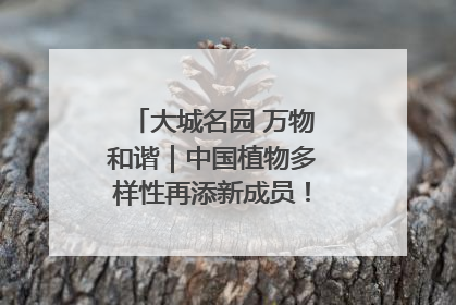 大城名园 万物和谐｜中国植物多样性再添新成员！它只在西藏墨脱