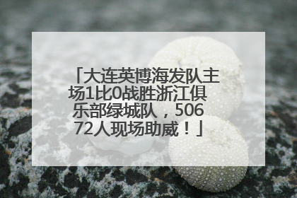 大连英博海发队主场1比0战胜浙江俱乐部绿城队，50672人现场助威！