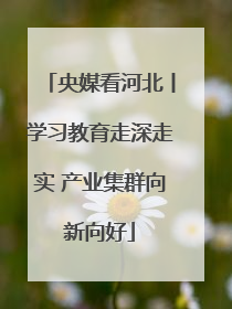 央媒看河北丨学习教育走深走实 产业集群向新向好