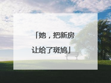 她，把新房让给了斑鸠