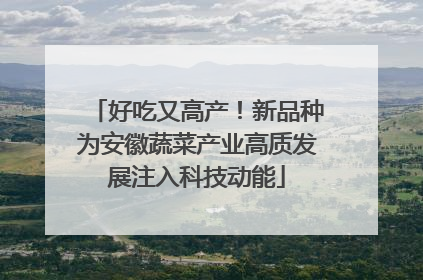 好吃又高产！新品种为安徽蔬菜产业高质发展注入科技动能