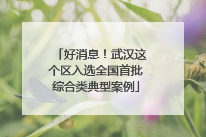 好消息！武汉这个区入选全国首批综合类典型案例