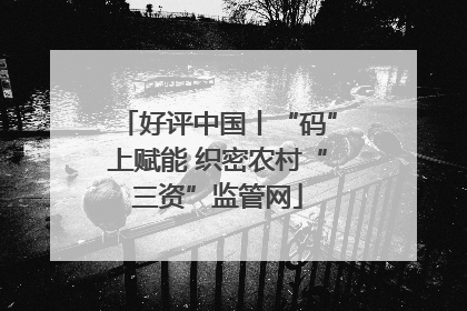 好评中国丨“码”上赋能 织密农村“三资”监管网