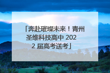 奔赴璀璨未来！青州圣维科技高中 2022 届高考送考