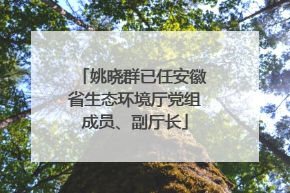 姚晓群已任安徽省生态环境厅党组成员、副厅长