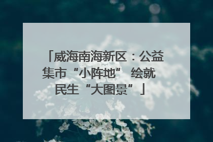 威海南海新区：公益集市“小阵地” 绘就民生“大图景”