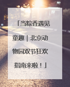当粽香遇见童趣｜北京动物园双节狂欢指南来啦！