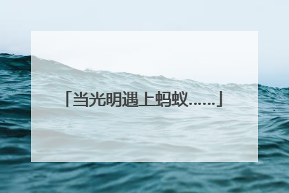 当光明遇上蚂蚁……