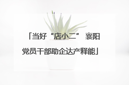 当好“店小二” 襄阳党员干部助企达产释能