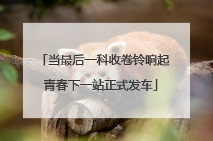 当最后一科收卷铃响起 青春下一站正式发车