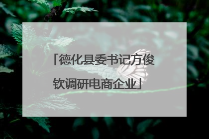 德化县委书记方俊钦调研电商企业