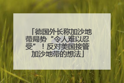 德国外长称加沙地带局势“令人难以忍受”！反对美国接管加沙地带的想法