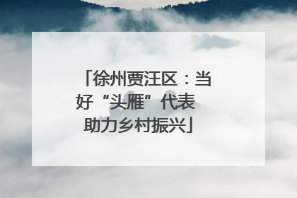徐州贾汪区：当好“头雁”代表 助力乡村振兴