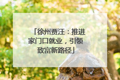 徐州贾汪：推进家门口就业，引领致富新路径