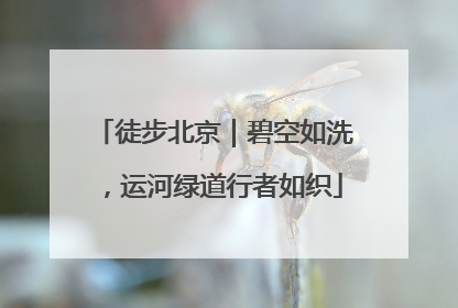 徒步北京｜碧空如洗，运河绿道行者如织