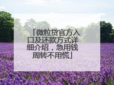 微粒贷官方入口及还款方式详细介绍，急用钱周转不用慌