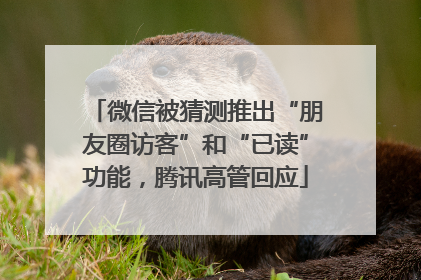 微信被猜测推出“朋友圈访客”和“已读”功能，腾讯高管回应