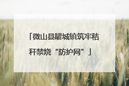 微山县驩城镇筑牢秸秆禁烧“防护网”