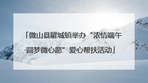 微山县驩城镇举办“浓情端午·圆梦微心愿”爱心帮扶活动