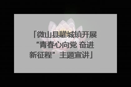 微山县驩城镇开展“青春心向党 奋进新征程”主题宣讲