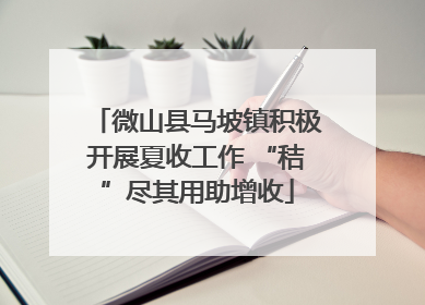 微山县马坡镇积极开展夏收工作 “秸”尽其用助增收