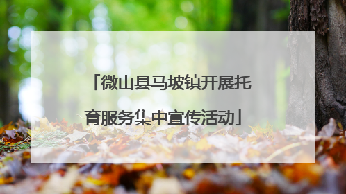 微山县马坡镇开展托育服务集中宣传活动