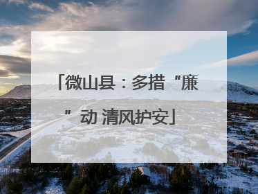 微山县：多措“廉”动 清风护安