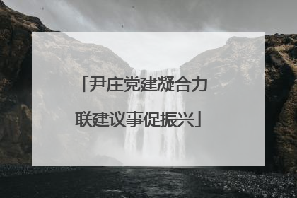 尹庄党建凝合力 联建议事促振兴