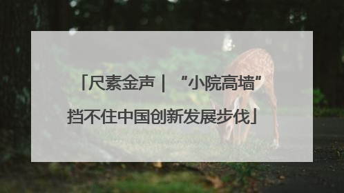尺素金声｜“小院高墙”挡不住中国创新发展步伐