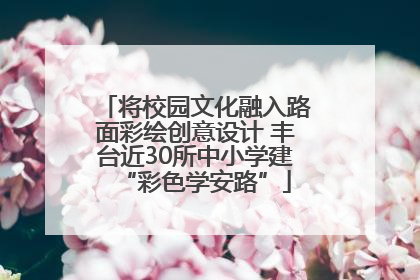 将校园文化融入路面彩绘创意设计 丰台近30所中小学建“彩色学安路”