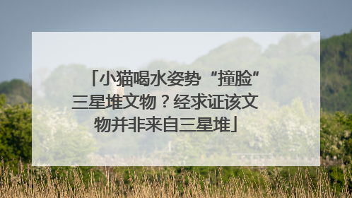小猫喝水姿势“撞脸”三星堆文物？经求证该文物并非来自三星堆