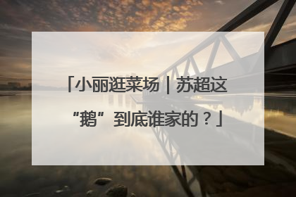 小丽逛菜场｜苏超这“鹅”到底谁家的？