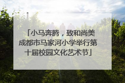 小马奔腾，致和尚美 成都市马家河小学举行第十届校园文化艺术节