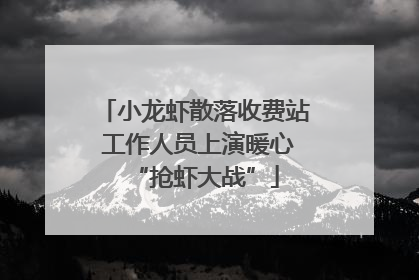 小龙虾散落收费站 工作人员上演暖心“抢虾大战”