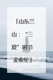 山东兰山：“三夏”时节麦收忙